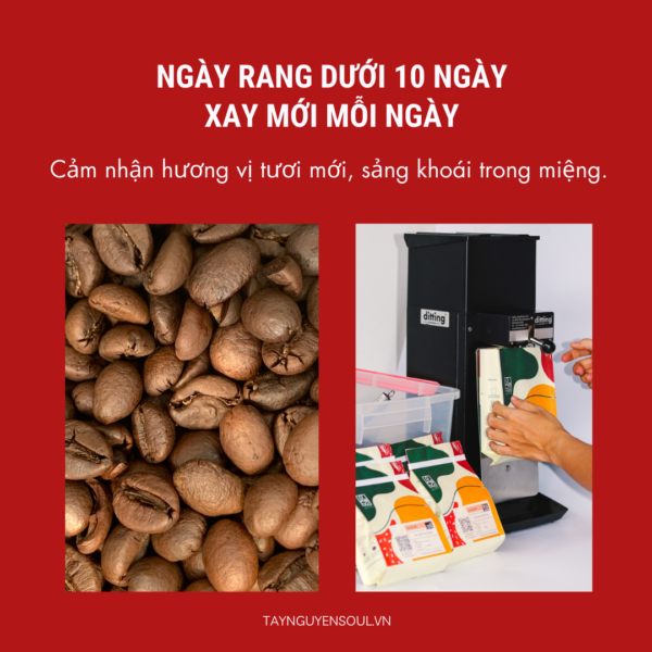 ca-phe-nguyen-chat-1-taynguyensoul.vn ca phe nguyen chat 1 taynguyensoul.vn