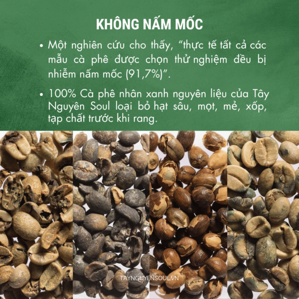 ca-phe-nguyen-chat-4-taynguyensoul.vn ca phe nguyen chat 4 taynguyensoul.vn