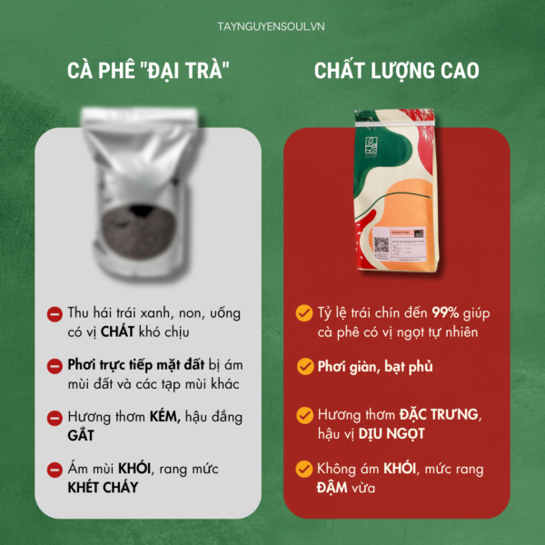 ca-phe-nguyen-chat-8-taynguyensoul.vn ca phe nguyen chat 8 taynguyensoul.vn