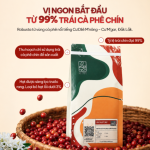 Cà Phê Nguyên Chất Signature 100% Robusta Honey Đăk Lăk 6 ca phe nguyen chat signature taynguyensoul.vn 2 1