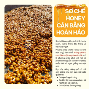 Cà Phê Nguyên Chất Signature 100% Robusta Honey Đăk Lăk 8 ca phe nguyen chat signature taynguyensoul.vn 5 1