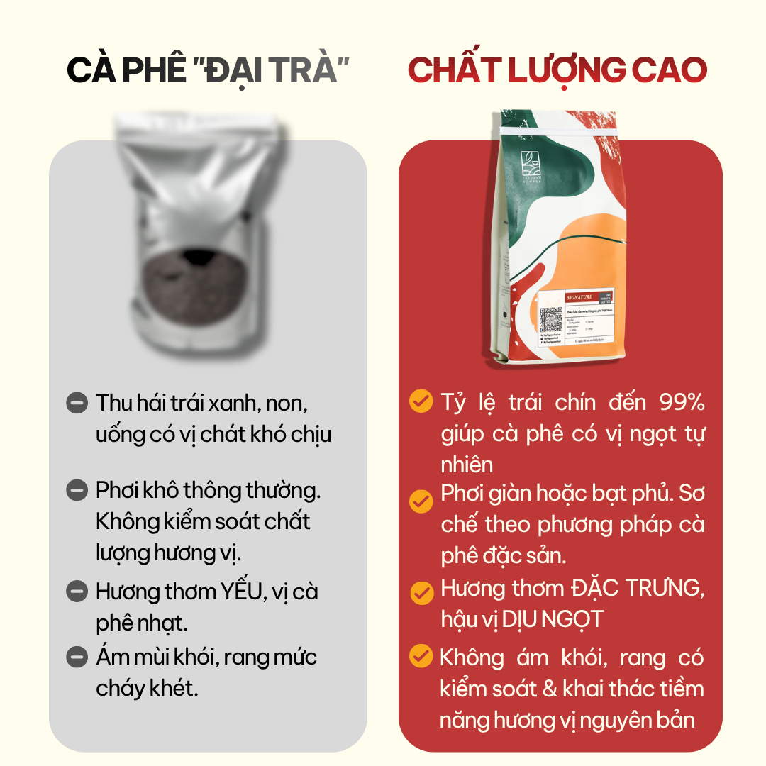 Cà Phê Nguyên Chất Signature 100% Robusta Honey Đăk Lăk 19 ca phe nguyen chat signature taynguyensoul.vn 8