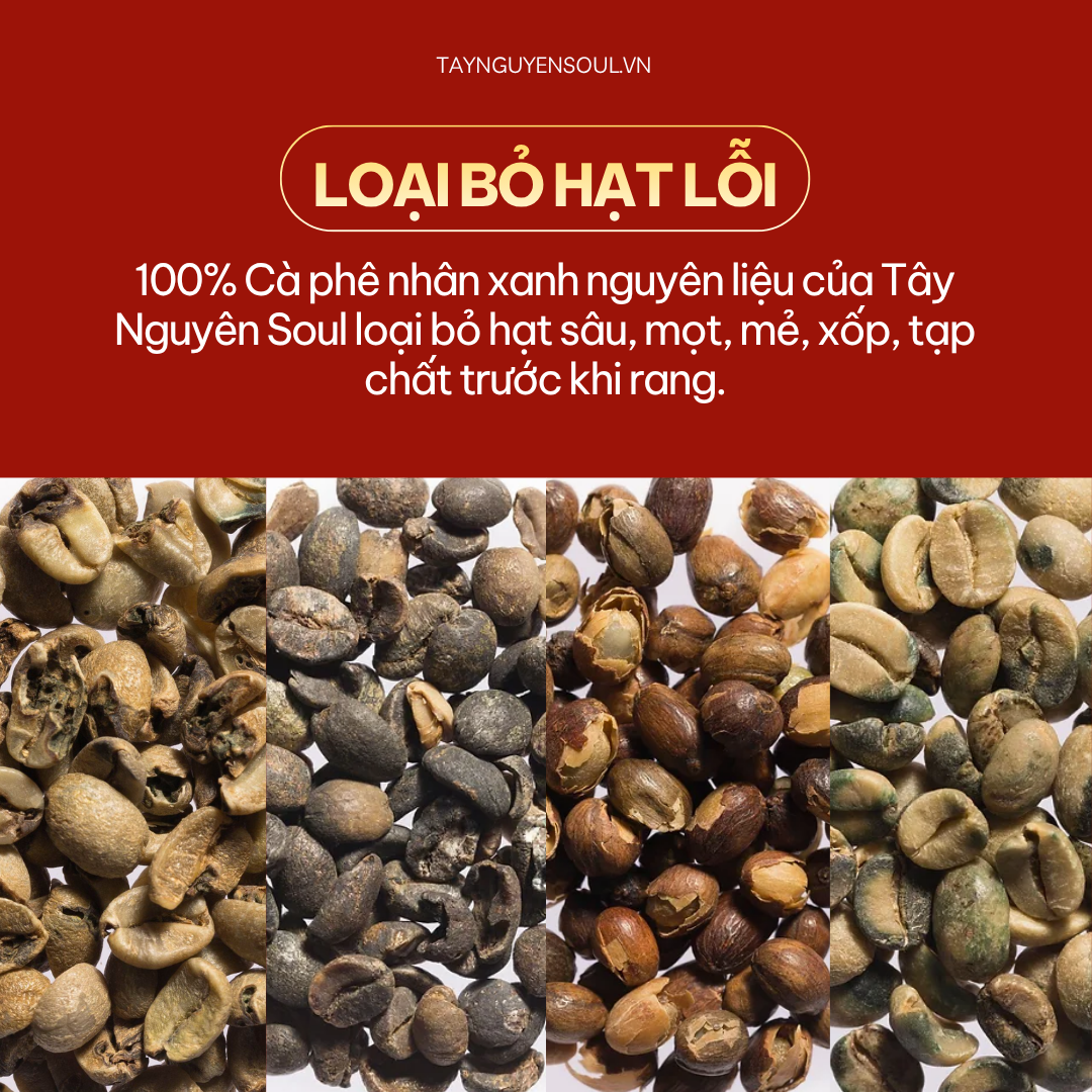 Cà Phê Nguyên Chất Signature 100% Robusta Honey Đăk Lăk 18 ca phe nguyen chat signature taynguyensoul.vn 9 1