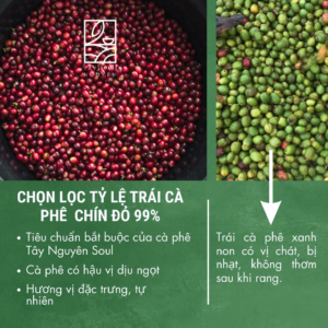 Cà Phê Ủ Lạnh Cool Brew Tỉnh Táo Tây Nguyên Soul 2 ca phe nguyen chat taynguyensoul.vn
