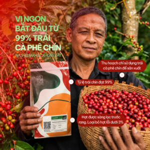 ca phe arabica cau dat rang xay nguyen chat taynguyensoul 2