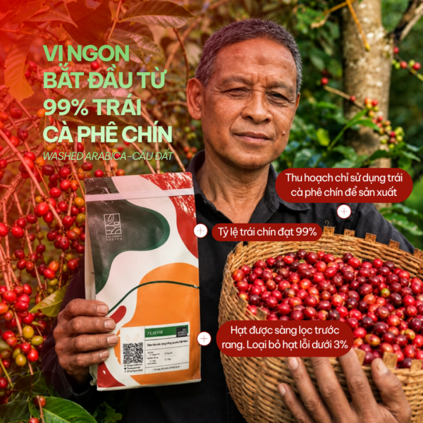 ca phe arabica cau dat rang xay nguyen chat taynguyensoul 2