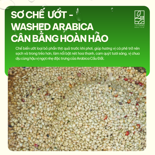 ca phe arabica cau dat rang xay nguyen chat taynguyensoul 5