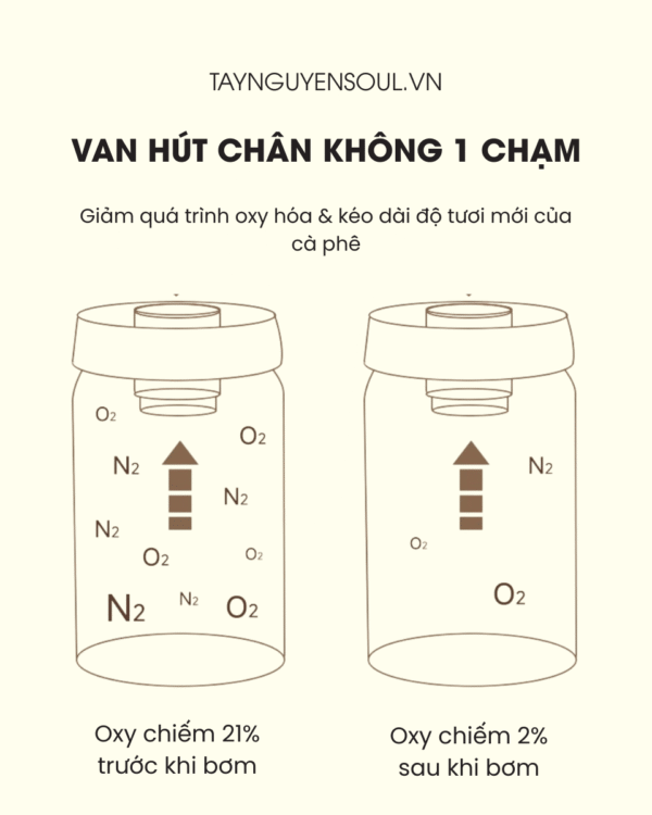 hop-dung-ca-phe-hut-chan-khong-thep-khong-gi-inox-316-taynguyensoul.vn.png-2 hop dung ca phe hut chan khong thep khong gi inox 316 taynguyensoul.vn .png 2