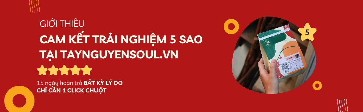 Trải Nghiệm 5 Sao - Cam Kết Tận Tâm Từ Sự Nỗ Lực 1 5 star guarantee