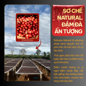 Ca phe nguyen chat dam manh robusta natural taynguyensoul.vn 5
