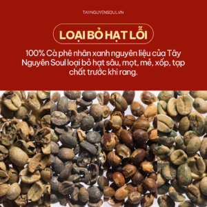 Ca phe nguyen chat dam manh robusta natural taynguyensoul.vn 9