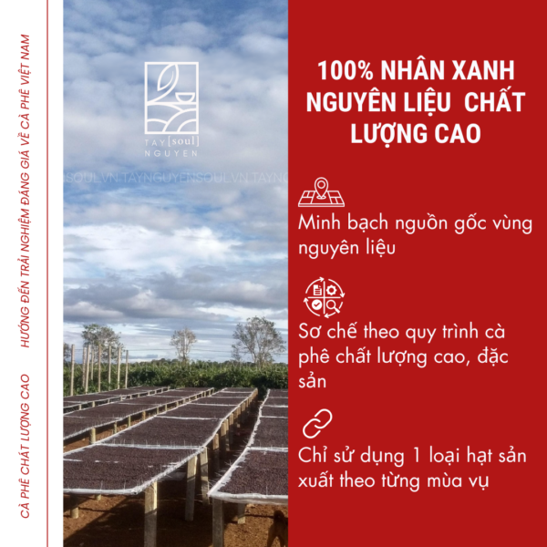 chat-luong-ca-phe-taynguyensoul.vn chat luong ca phe taynguyensoul.vn