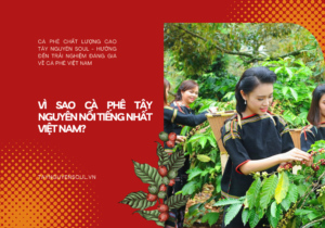 ca phe nguyen chat taynguyensoul.vn 1 1