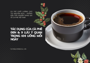 tac dung cua ca phe den taynguyensoul.vn