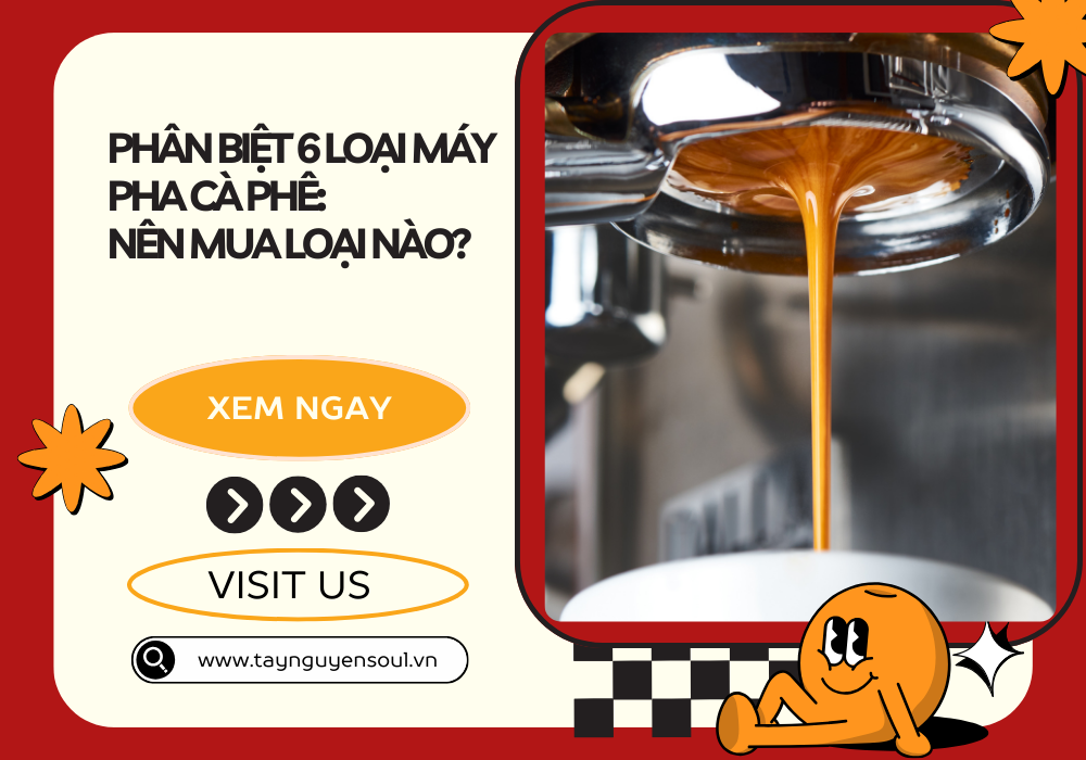 ca phe nguyen chat taynguyensoul.vn 6