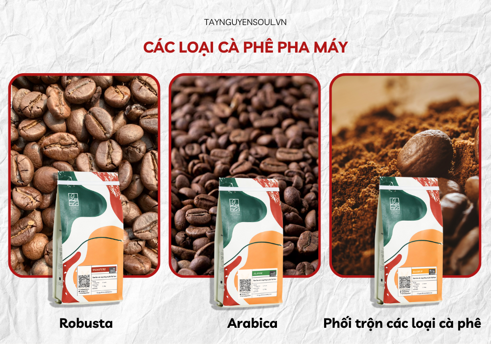 ca phe nguyen chat pha may taynguyensoul.vn 8