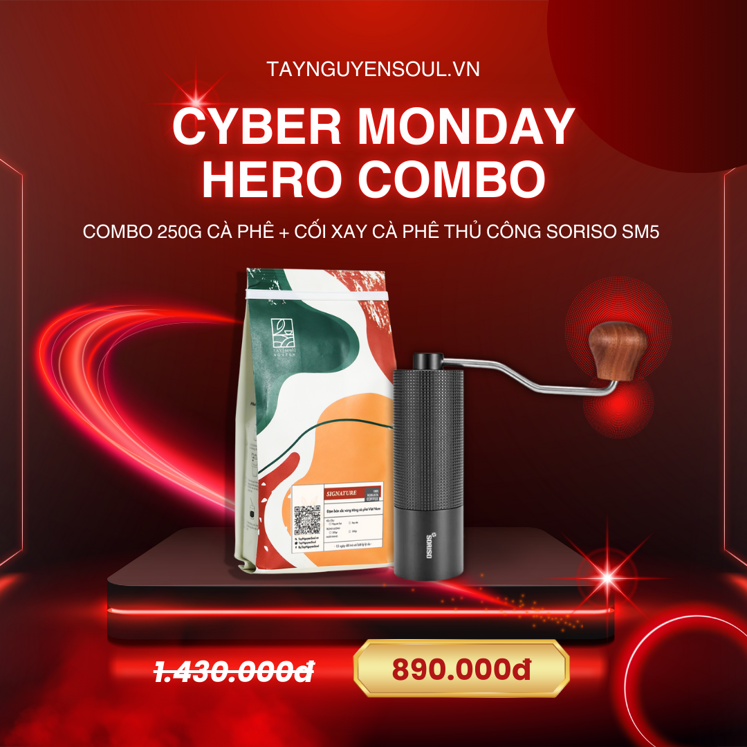 BLACK FRIDAY 2024 - ON LIVE 5 BF24 SM5