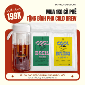 [DEAL GIỚI HẠN - ÁP MÃ TẶNG BÌNH COLD BREW] COMBO Cà Phê Cold Brew 1kg (2 gói 500g)