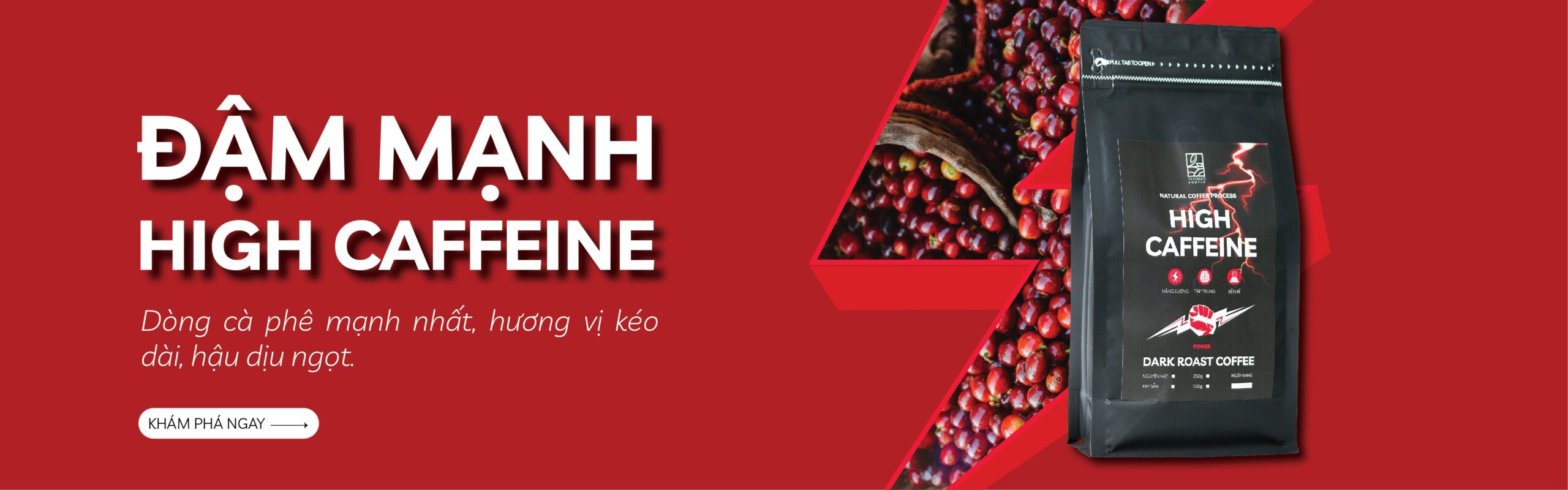 WEB CATE BANNER 04 scaled