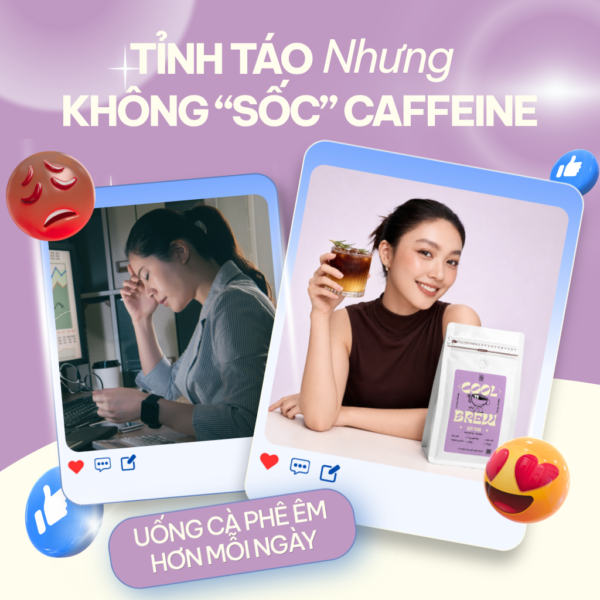 ca phe u lanh diu em taynguyensoul.vn 14