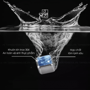 Đá Lạnh Vĩnh Cửu Cao Cấp Không Gỉ - Giữ Lạnh Sâu & An Toàn 7 Da Lanh Vinh Cuu Cao Cap Khong Gi 2